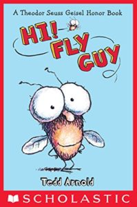 Hi Fly Guy
