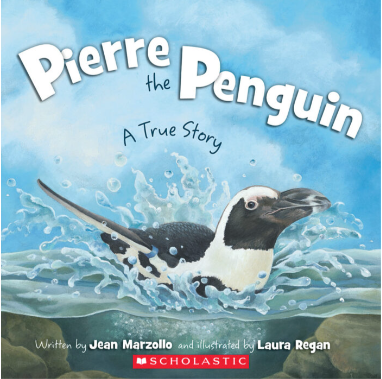 pierre the penguin